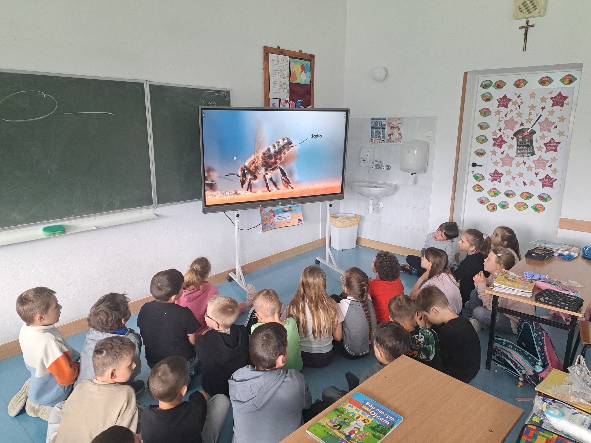 Dzień Pszczoły
